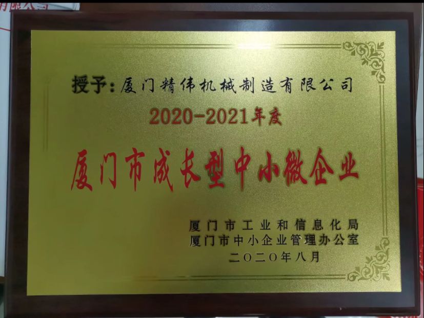 成(cheng)長型中(zhōng)小微企(qǐ)業2020-2021